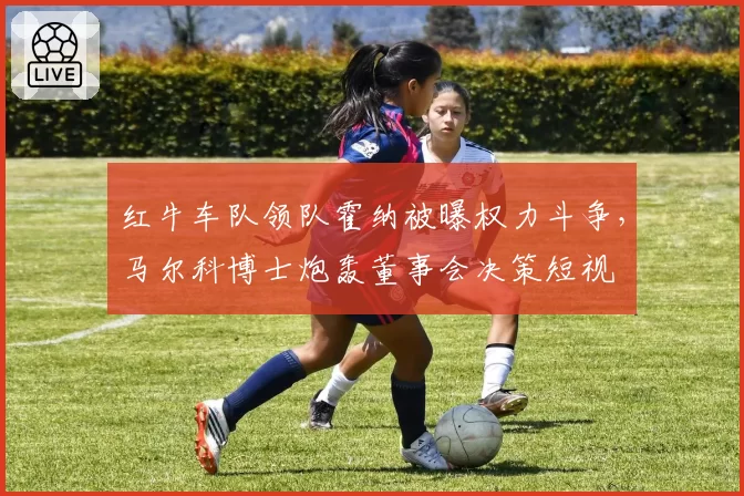 红牛车队领队霍纳被曝权力斗争，马尔科博士炮轰董事会决策短视